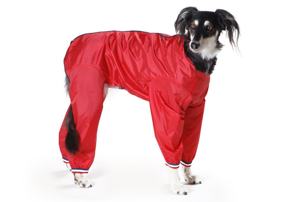 waterproof nylon dog trouser suit dog coat